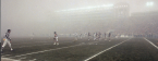 Fog Still in Forecast for Dolphins-Jets Game, Line Still at Miami -2.5