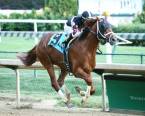 What Will the Payout Be on Necker Island to Win the Kentucky Derby?  