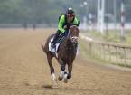 Overtook Payout Odds to Win the Belmont Stakes