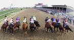 What Are the Current Odds of Cloud Computing Winning the Preakness Stakes