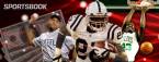 Rent a Sportsbook: Profit From an Amazing Season