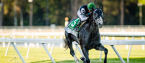 What Will the Payout Be if Tapwrit Wins the 2017 Kentucky Derby?