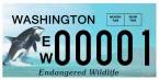 Can I Bet College Bowl Games Online From Washington State