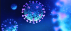 Sports Leagues Hit By Tampa Covid Outbreak