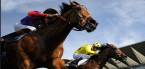 Where Can I Bet the Kentucky Derby Online From Iowa, Wisconsin?