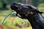 NBC Already Being Made the Fall Guy for Likely Haskell Horror