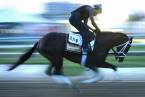 Founder of Horse Betting Company Wants Name Cleared After Conviction Overturned 