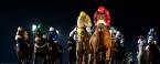 Pay Per Head for the Breeders Cup Washington, Oregon, Idaho