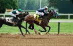 Virtual Sports: More Than a Fleeting Betting Opportunity 