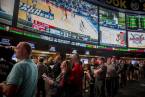 Jumpstarting Your Betting Journey: Essential Tips for Rookies