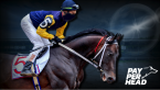 The Kentucky Derby 2019 Contender Odds & Bookie Strategies