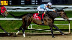 What Will Modernist Pay Out to Win the Belmont Stakes 