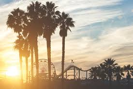 Bitcoin Sportsbook Solutions - California 